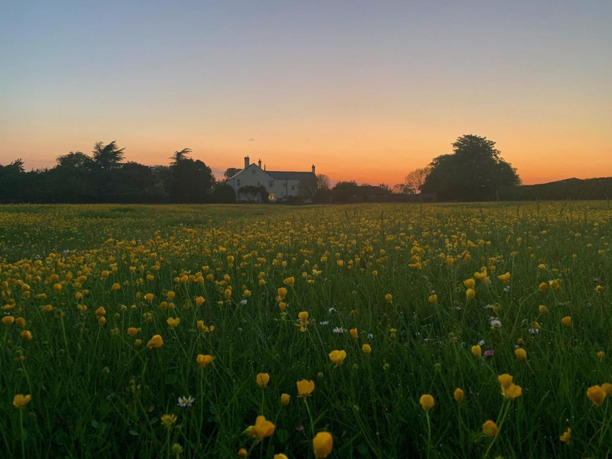 The Chestnuts Country House Boutique B&B Kilvington Exteriér fotografie